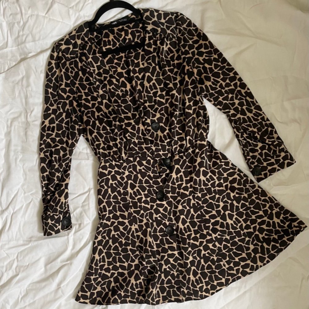 Zara Giraffe Print Dress
